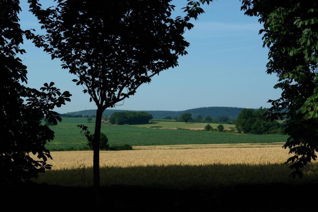 Chambres D'Hotes - Domaine Des Perrieres Crux-la-Ville Eksteriør bilde